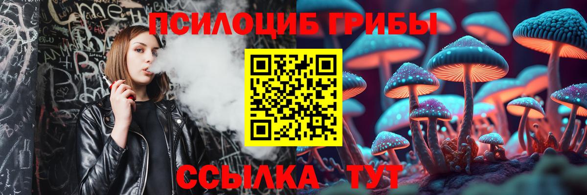 Анапа  Галлюциногенные грибы Cubensis  Вход с VPN 