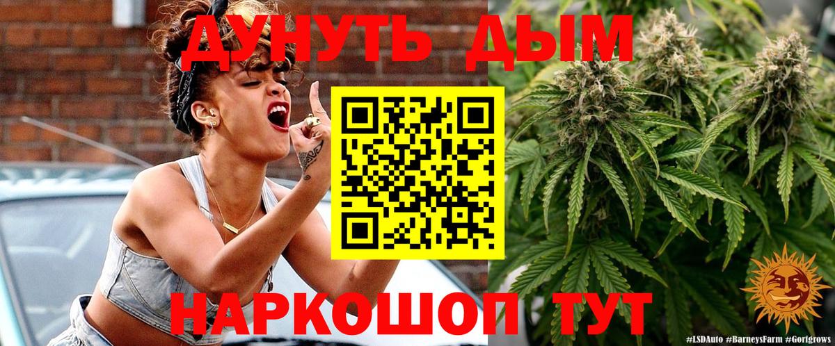 Каннабис сатива Анапа